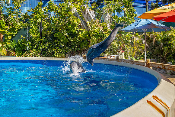 Florida 2012 ~ Week 3-017
