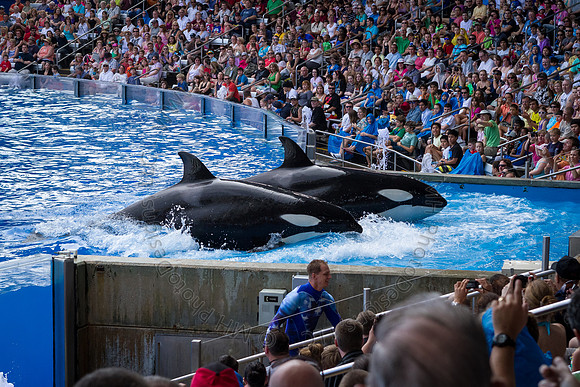 Florida 2012 ~ Week 3-043