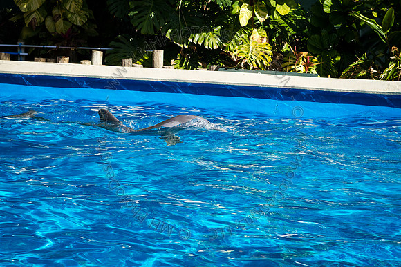 Florida 2012 ~ Week 3-012