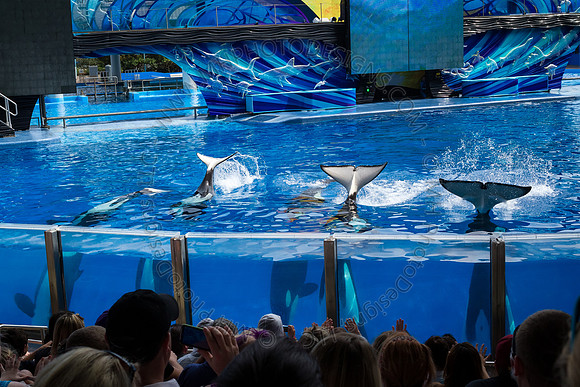 Florida 2012 ~ Week 3-060