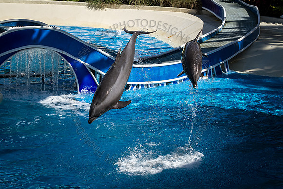 Florida 2012 ~ Week 3-110