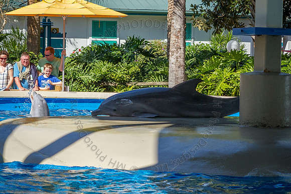 Florida 2012 ~ Week 3-016